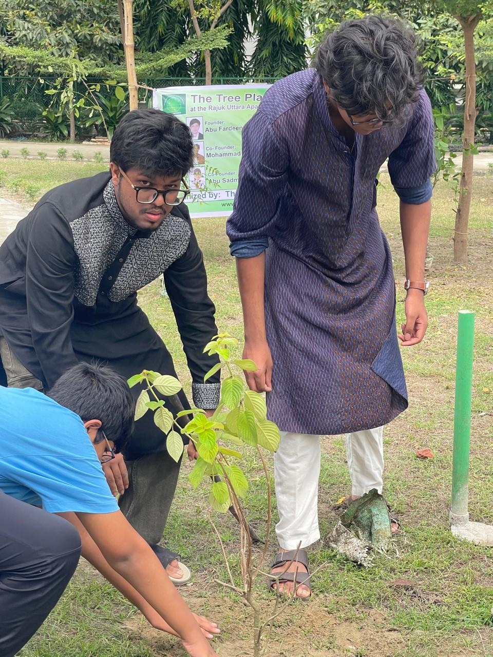 The Tree Plantation Program - 2